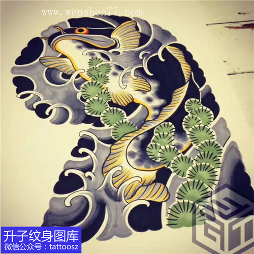 老传统半甲鲸鱼海草纹身手稿图案-精品