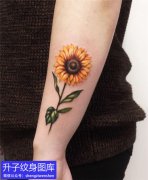 <b>女生小臂外侧彩色向日葵纹身图案</b>